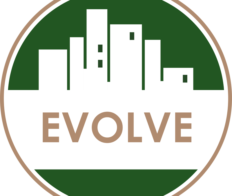 Evolve Consultancy Group